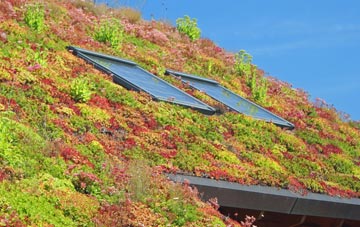 Chatterley living roof systems